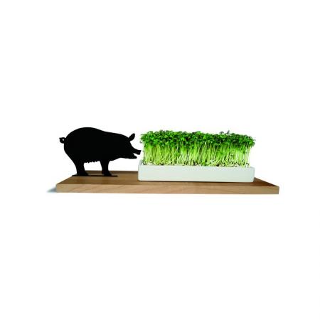 Kresseschale smart´n´green Schwein-side by side-werky