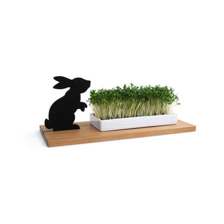 Kresseschale smart´n´green Hase-side by side-werky